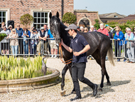 PN170422-136 - Paul Nicholls Stable Visit